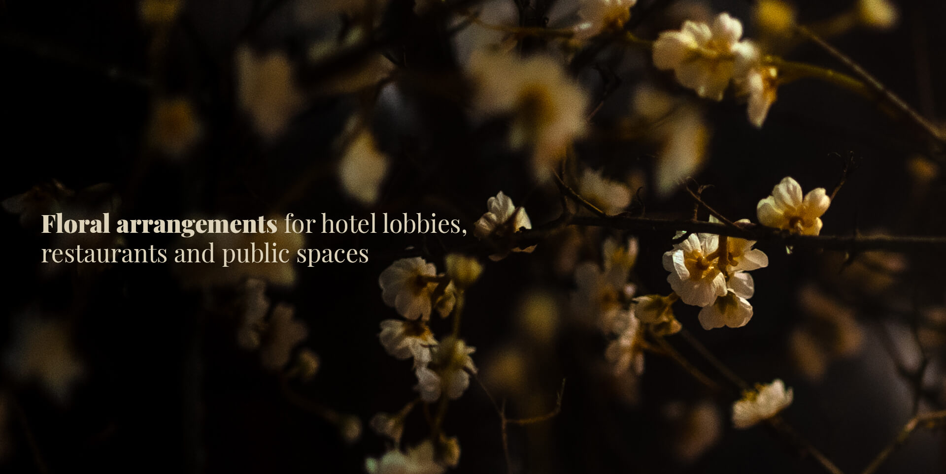 HOTELY A HOSPITALITY-ANGLICKY-1oprava